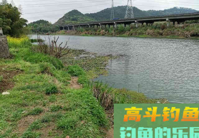 中午就停口该怎么办？频繁补窝是下策，教你一招打开鱼口