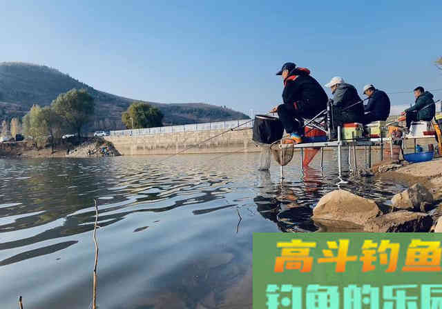 冷了就要用浓腥？瞎说！饵料状态比味型更关键