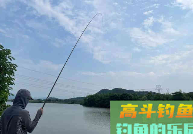 跟着大师学钓鱼，越学越钓不到鱼？我来告诉你几个真相