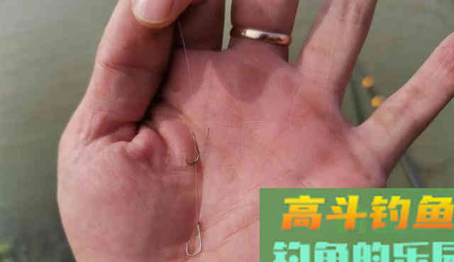钩条的粗细会影响鱼吃口吗？黑坑与野钓有区别