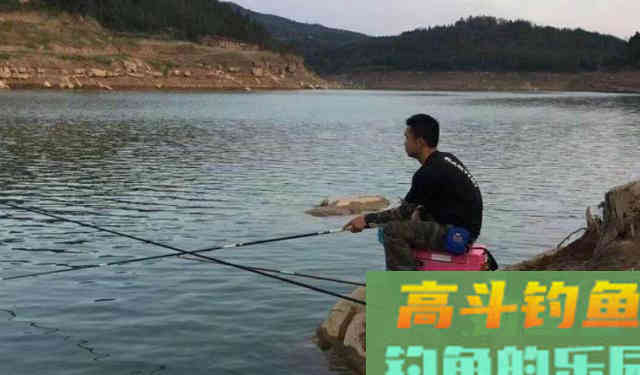 为什么浮漂有信号，提竿却没有鱼