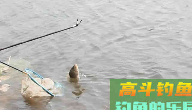 冬季使用红虫钓鱼，我有7条建议送钓友