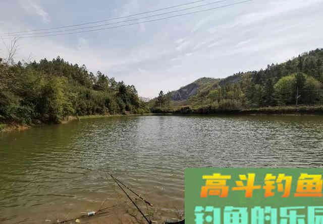 水太肥鱼难钓？遇到肥水最实用的几个办法