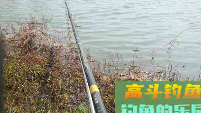 老钓友钓鱼的这三个思路，花钱也买不来