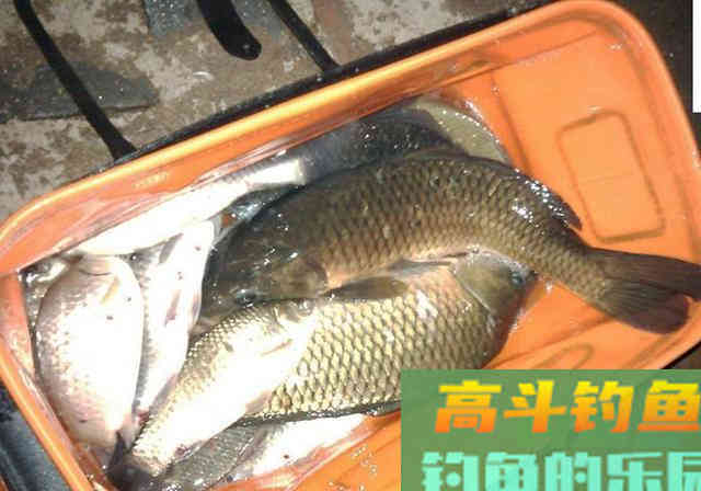 给钓友分享一款能压轴的窝料配方，用过的人都说好
