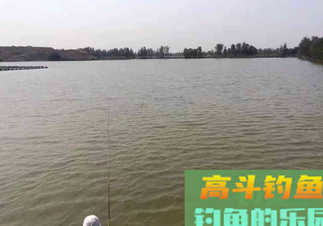 钓了大半辈子的老头说啥也不告诉我秘方
