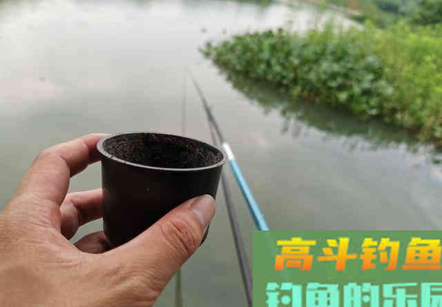 商品饵没口，一换蚯蚓就中鱼，这种现象你遇到过吗
