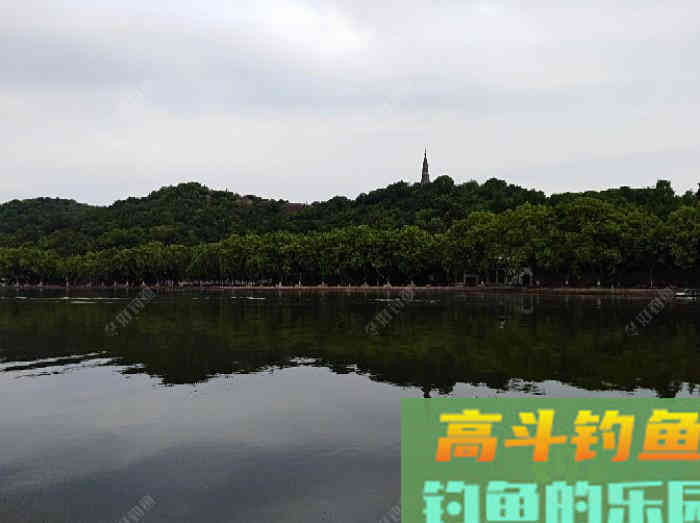 钓鱼老手对商品饵配比的实践体会