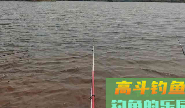 有鱼咬钩后，应该什么时候提竿