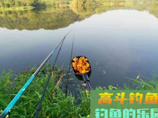 红虫颗粒这么用，诱鱼效果比红虫的效果还要好一些