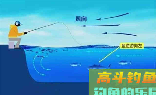 鱼是怎么进窝的？又是怎么被钓到的？