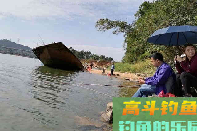 有鱼无口，到底先换饵料还是调整浮漂