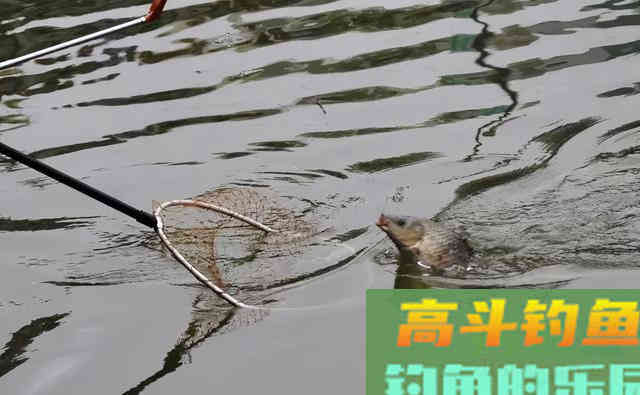 到陌生水域钓鱼，从三方面入手