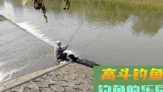 老钓友钓鱼的这三个思路，花钱也买不来