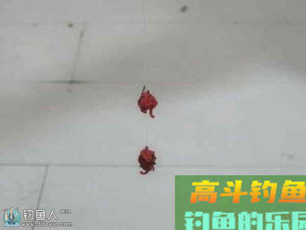 冬季垂钓的果冻红虫拉饵配方制作方法