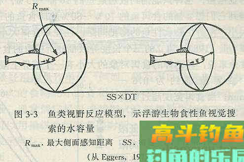 钓鱼中各种鱼类的食性类型和变化