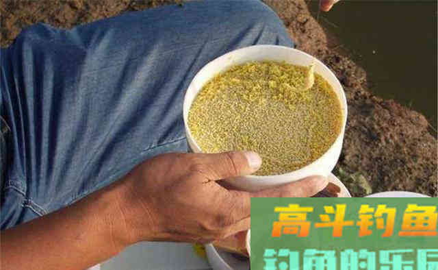 晚秋钓鲫鱼，酒米的三大科学用法