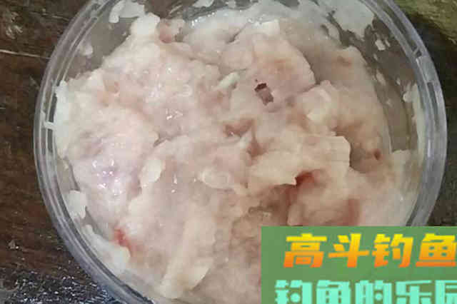 用鱼肉这样来开饵，小鱼不闹，大鱼狂咬