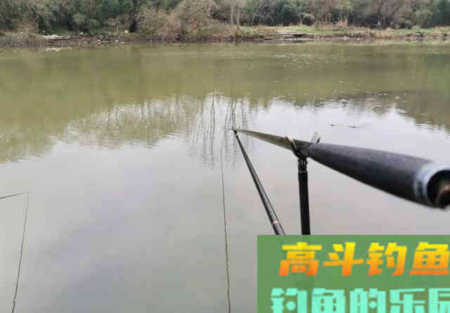 同样的装备相邻的钓位，为什么别人连杆上鱼