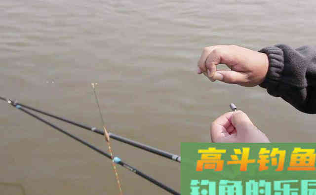 影响渔获的关键，不在于调钓和窝料，而是它们