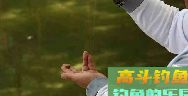 天冷前，懂钓鱼的人都在悄悄做这4件事