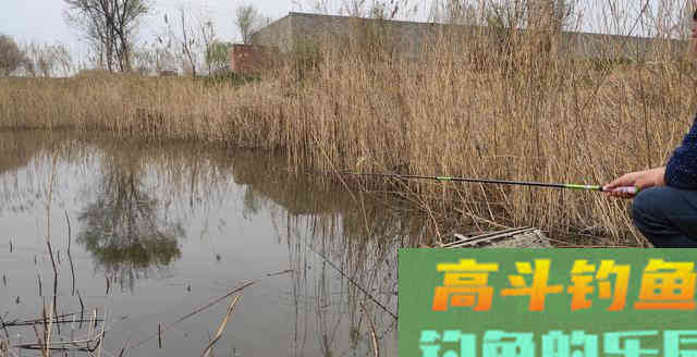 求了半天都不说秘方的老头，带他钓了一次鱼才偷偷学到秘诀