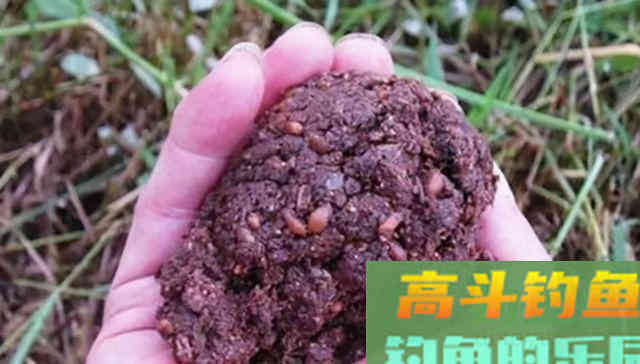 蚯蚓做钓饵，这样打窝，蚯蚓得多带两盒才够用