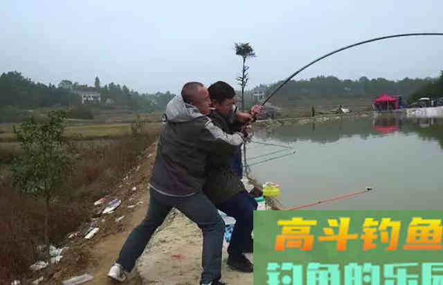 钓着钓着就停口了，老司机无奈说出原因