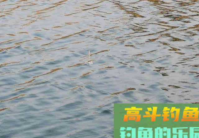 大风大浪看不清浮漂怎么办？这个办法很好用