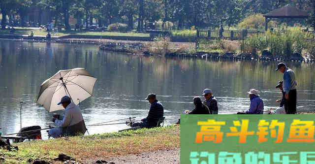 钓鱼新手要养成的四个好习惯，让你渔获翻倍
