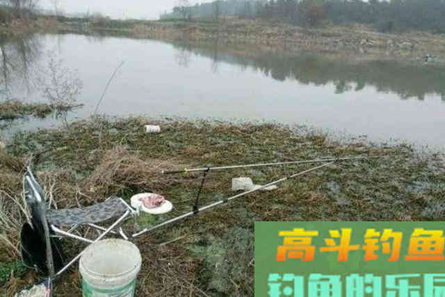 水底有草就收竿不钓？这3个破解招式，简单实用