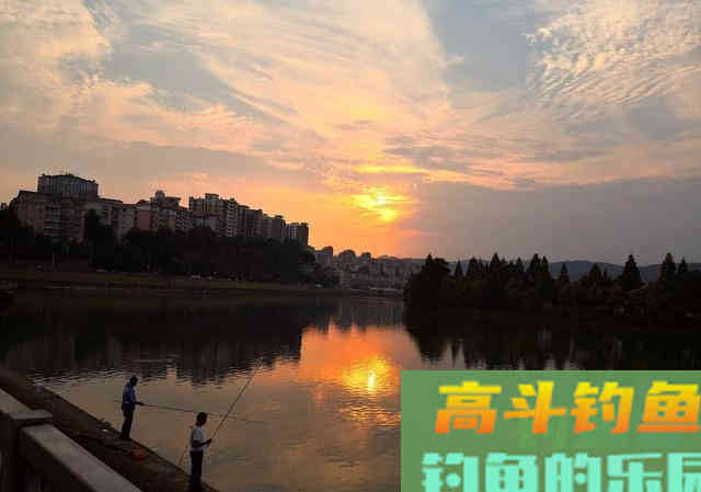 夏季天气炎热鱼不好钓，新手学会这三招
