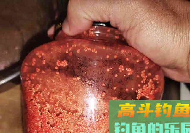 虫咬的小米不要扔，拿来做成酒米