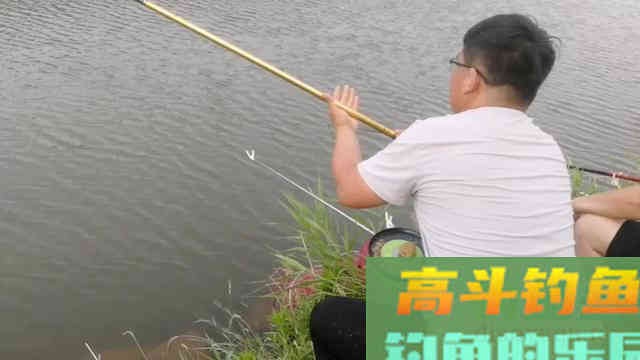 这十二种分析，看懂弄明白，超准抓口