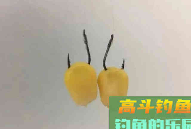 玉米如何挂钩命中率更高?挂钩方法并不重要 玉米如何挂钩命中率更高?挂钩方法并不重要