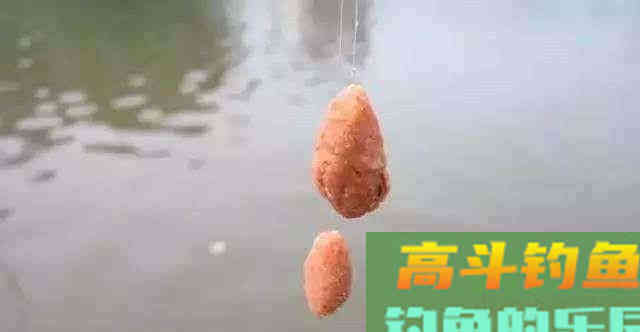 钓鲫鱼窝内出现大片鱼泡，为何没鱼吃钩