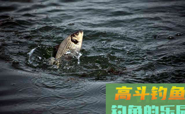 不压风线真的会影响渔获吗？这一秘诀新手不了解