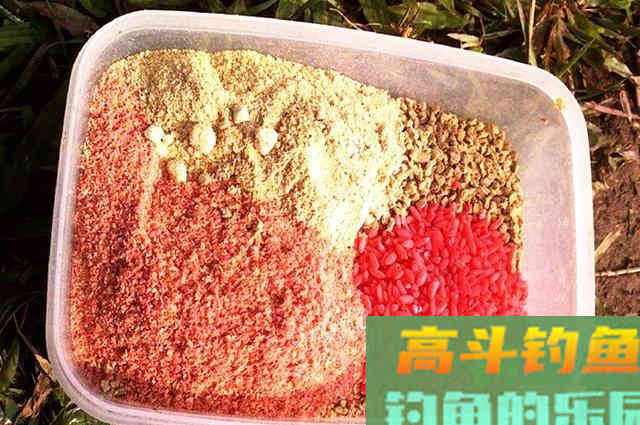 用自制窝料和饵料，半天钓了18斤鱼
