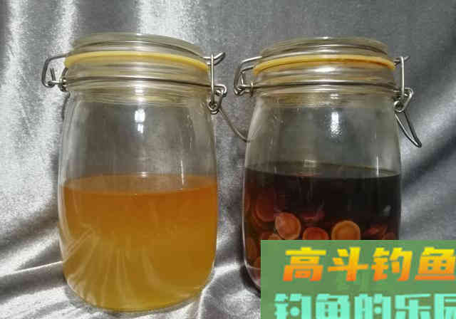 钓鱼药酒一天能速成！但太多人方法搞错了