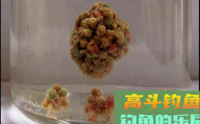 水母拉饵用不好？钓不到鱼？用法不对渔获少