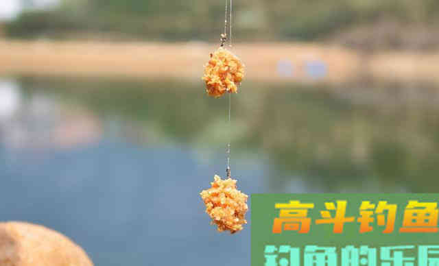 春季钓鱼，饵料除了浓、熟、活，还有一点最重要