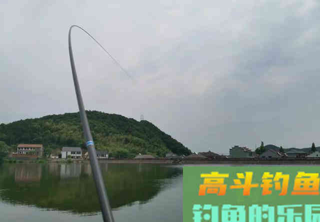 大鱼脱钩会搅窝？其实不脱钩也会搅窝