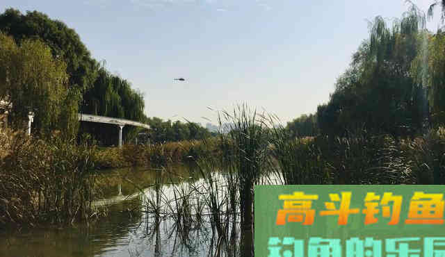 要想钓获好，到底是钓位重要还是饵料重要