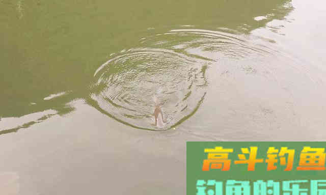 到陌生水域钓鱼，从三方面入手