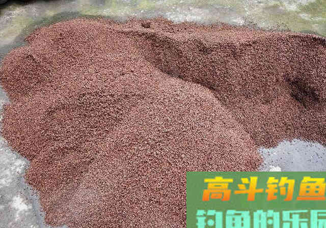 钓友自制不差钱窝料，成本上百块，只为钓到鱼