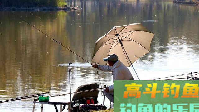 新手钓鱼遇到这五种钓点千万别错过，个个都是鱼窝