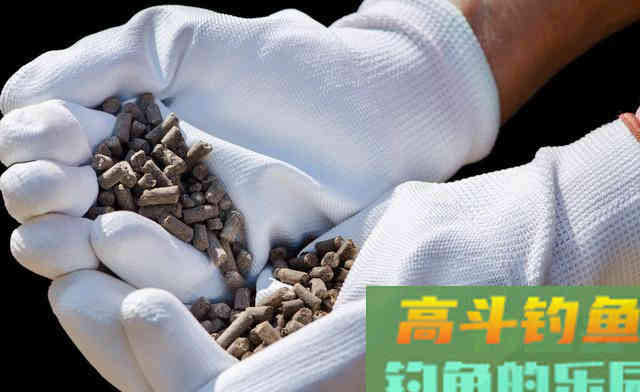 揭秘自制“大蒜饵料”的真相