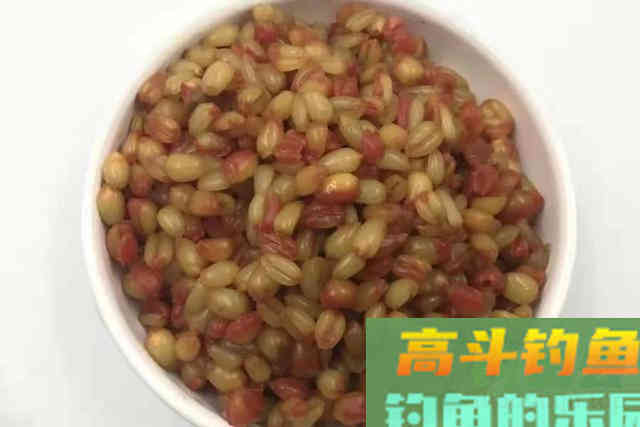 不用小药不用蚯蚓，春季垂钓我只用它