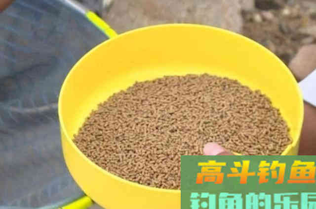老司机道破打完窝后，半天都没鱼咬钩的原因