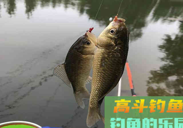 陌生水域垂钓，钓友记牢这套攻略，钓到鱼并不难